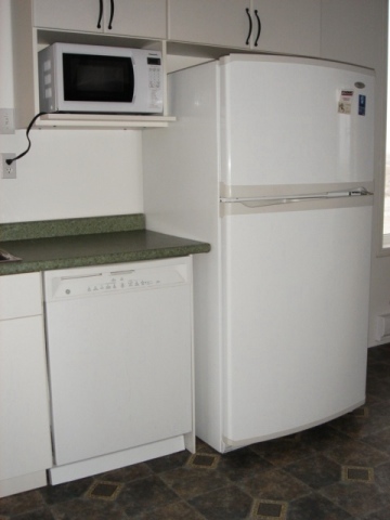 Fridge, dishwasher and microwave
